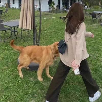 我曾上镜